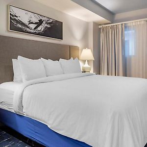 Suite à 3 Chambres à Coucher